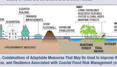 Storm risk management Norfolk & Atlantic Reefmaker