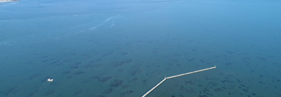 NCDOT Bonner Bridge Mitigation Project