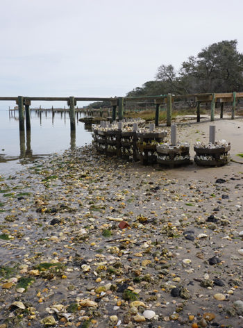 Low Wave Energy Shoreline Stabilization